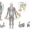 exercise