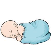 newborn